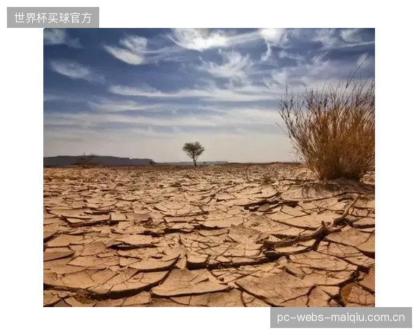 大赛经验的相对匮乏是奥地利队的潜在短板，关键场次的心理稳定性将受到极大考验。