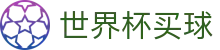 2026FIFA世界杯买球_真实体验与安全入口分析